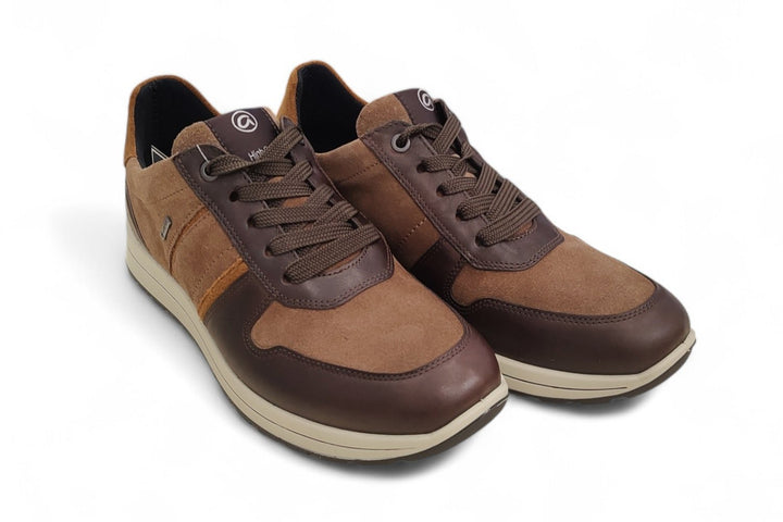 Ara - art. 24509 moro