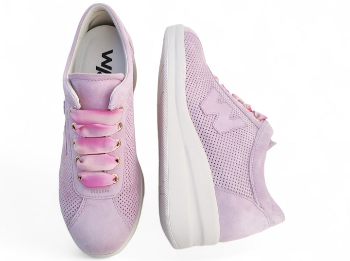 Melluso - art. R20245 rose