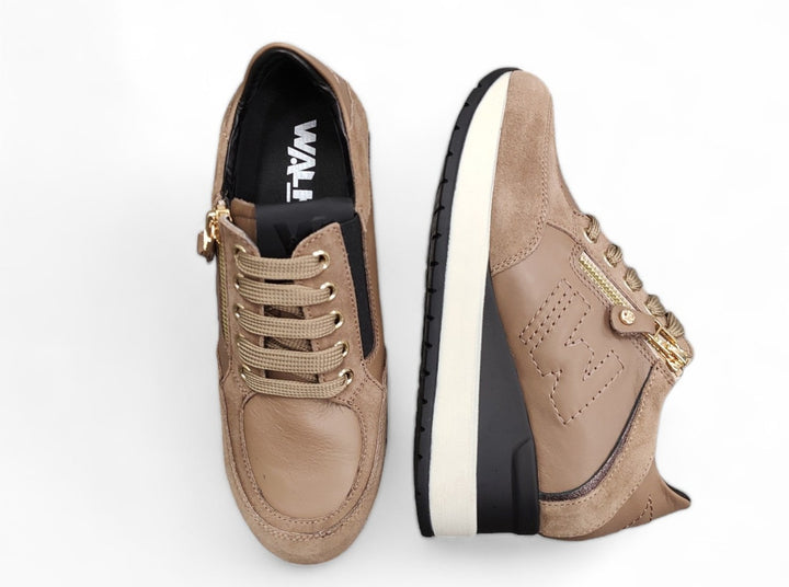 Melluso - art. R25549 cocco